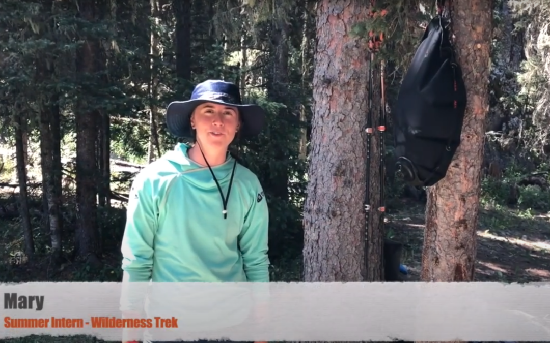 How to Wash Hands on the Trail